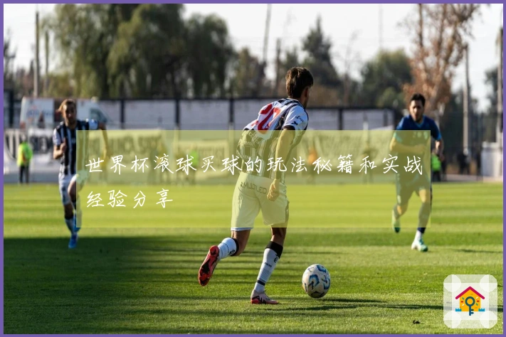 世界杯滚球买球的玩法秘籍和实战经验分享
