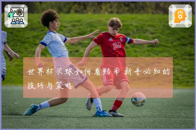 世界杯买球如何看赔率 新手必知的技巧与策略