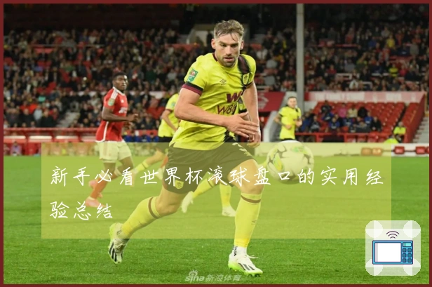 新手必看世界杯滚球盘口的实用经验总结