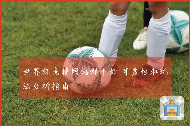 世界杯竞猜网站哪个好 可靠性和玩法分析指南