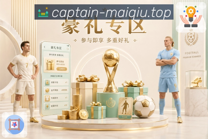 足球联赛关注者